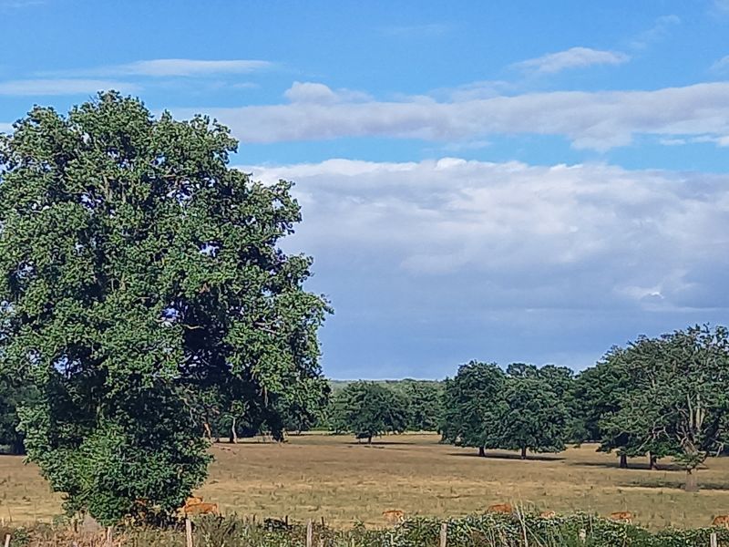 paysage d été Beauregard 