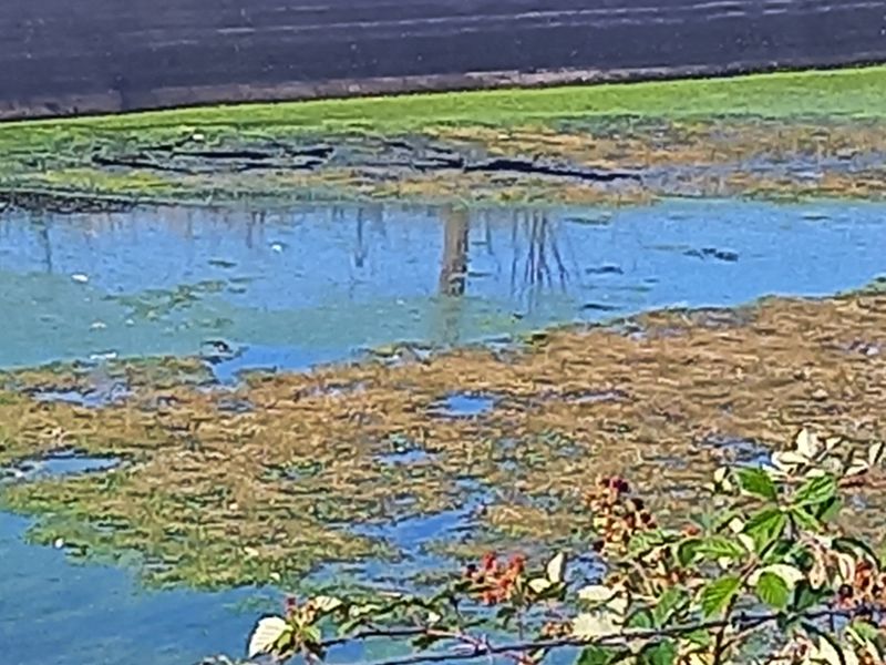 paysage chez nous